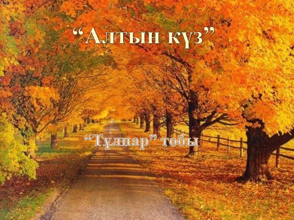 "Алтын күз". Ересек "Тұлпар тобы"